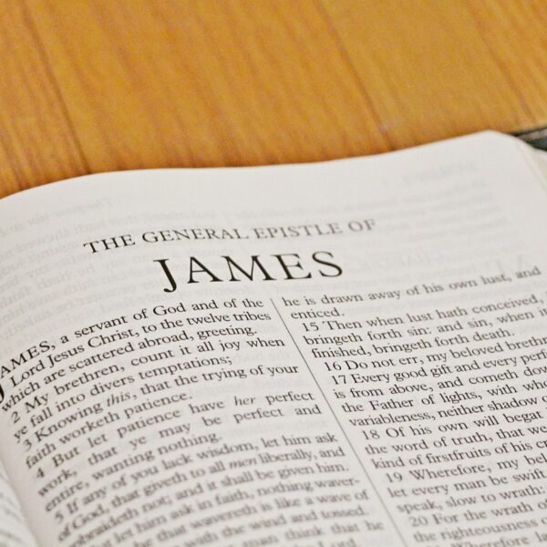 king james version 5322836 1280