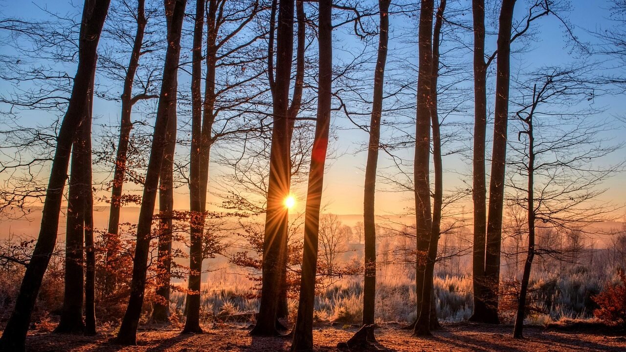 Reflecting Sunset