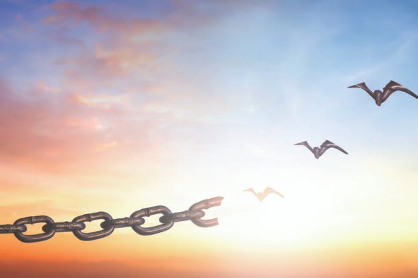 Silhouettes of broken chain and birds flying in sunset sky background