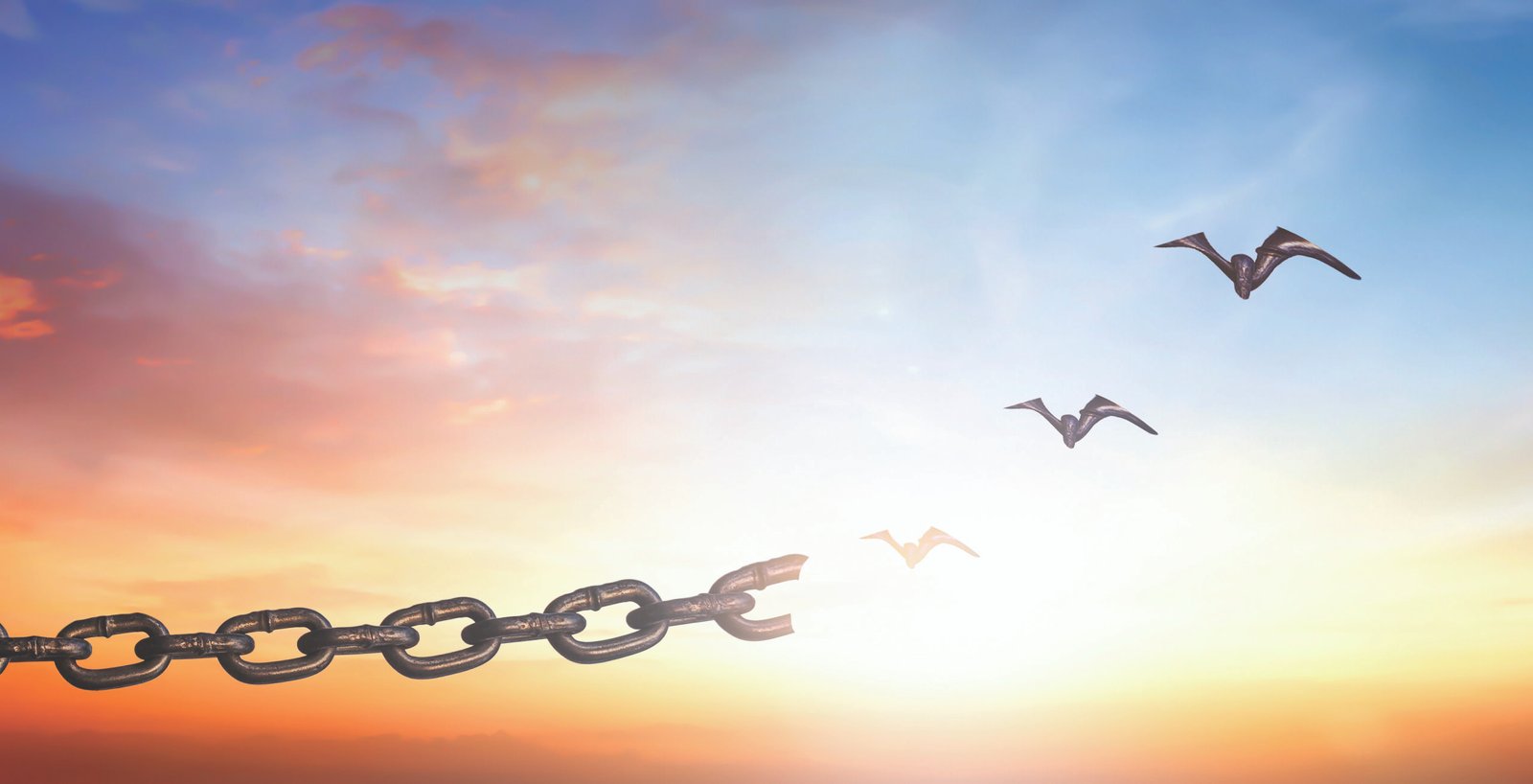 Silhouettes of broken chain and birds flying in sunset sky background