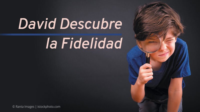 David Series David Descubre la Fidelidad