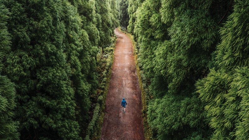 iStock p4 1478017633 Nastco