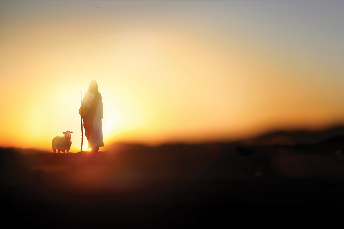 Jan Feb26 iStock p07 2243539586 artplus