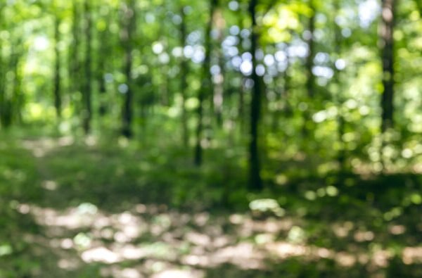 iStock 2149614414 Mr Twister 768x395