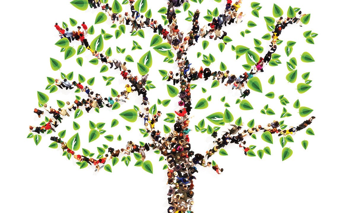 Jesus and Genealogies