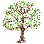 Jesus and Genealogies