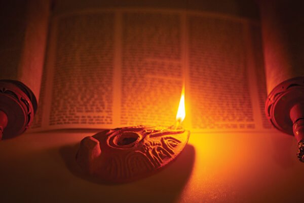 Jan Feb26 iStock p20 1284936096 pamela d mcadams