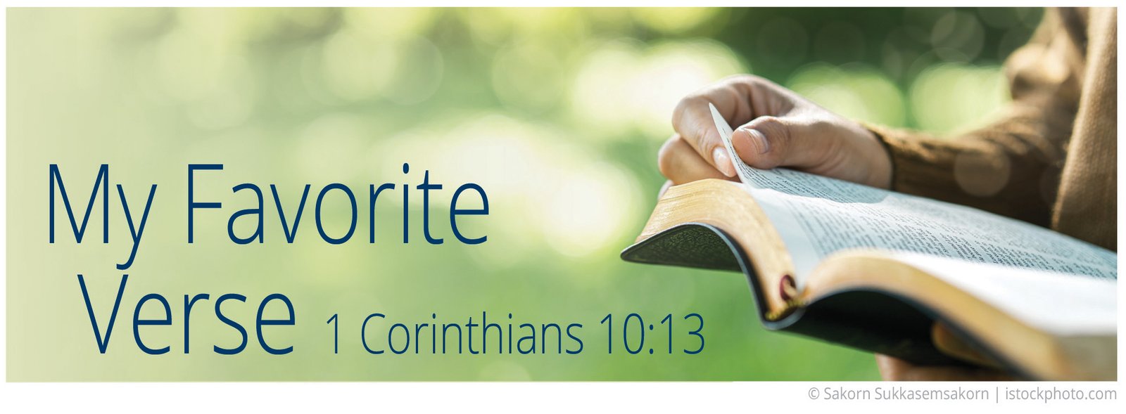 My Favorite Verse Eng