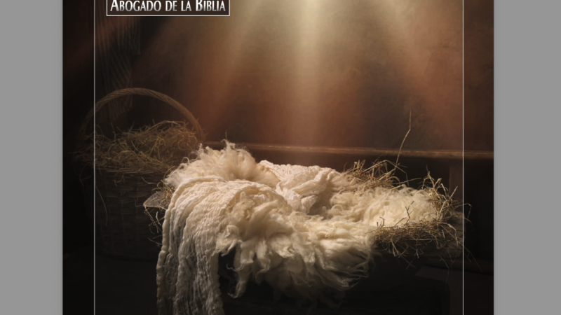 Edici&oacute;n Actual