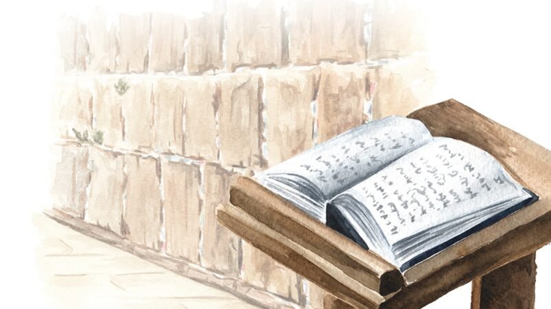 iStock p10 1299964353 Daria Ustiugova