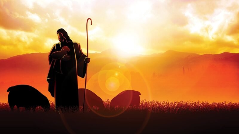 iStock p12 1613605130 rudall30