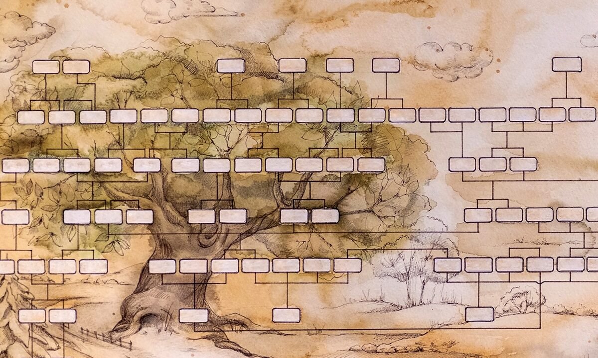 Genealogies and Jesus