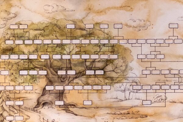 iStock p18 1353184685 Anastasia Deriy