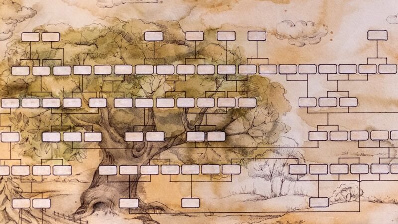 iStock p18 1353184685 Anastasia Deriy