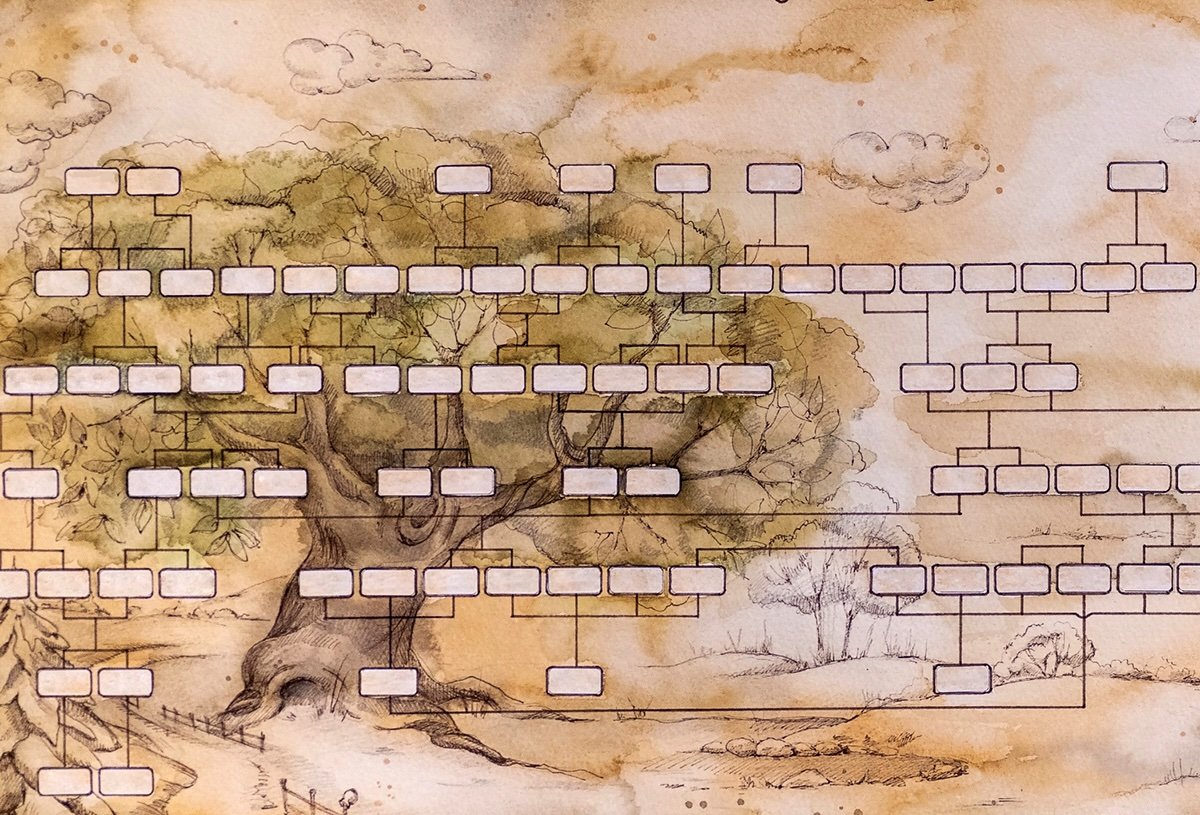 iStock p18 1353184685 Anastasia Deriy