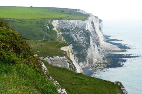loggawiggler white cliffs 123476 1920