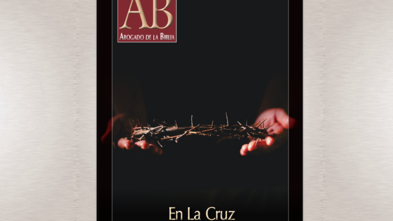 Edici&oacute;n Actual
