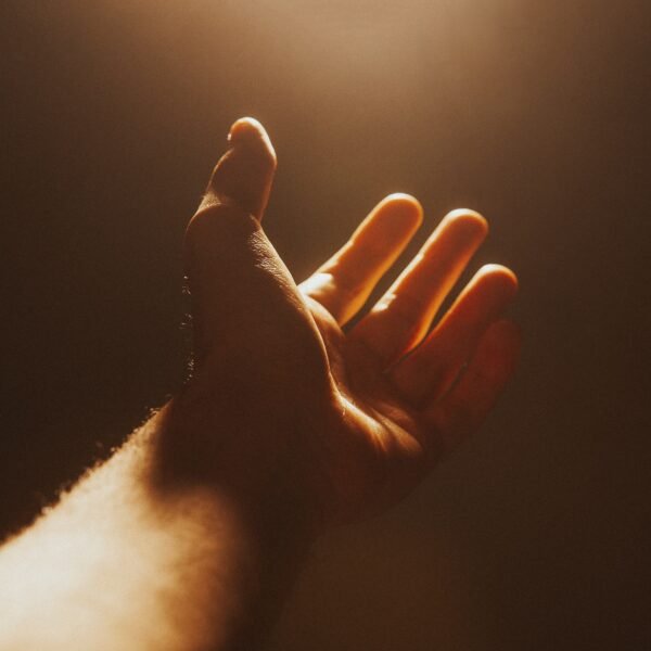 1857643 hand 4661763